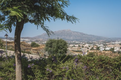 3 dormitorios Penthouse en Cat Trinh, Vietnam No. 27415 4