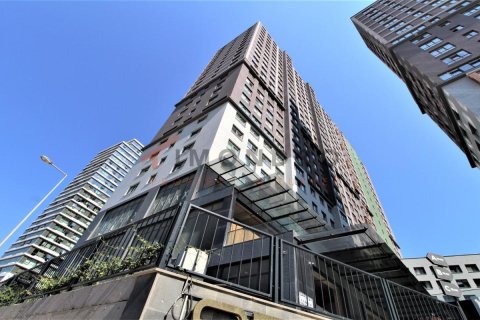 2 bedrooms Apartment in Tien Lang, Vietnam No. 17982 13