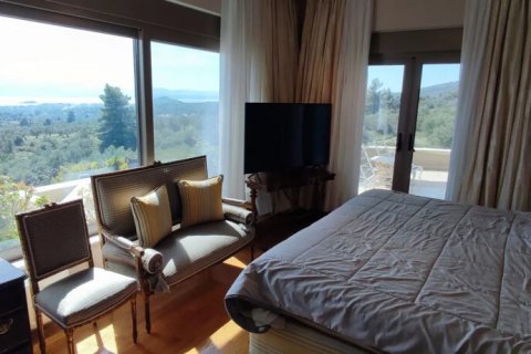 390m² Villa in Euboea, Greece No. 116818 15