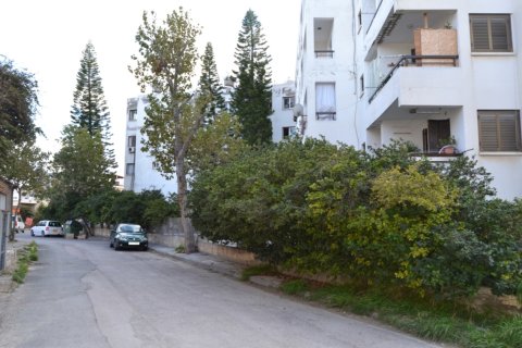 490m² Commercial property en Paphos, Cyprus No. 105510 13