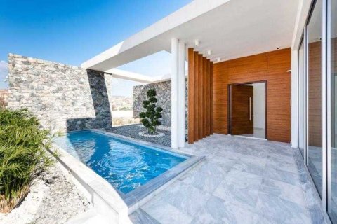 Дом с 5 спальнями в Мутайяка, Кипр №30365 8