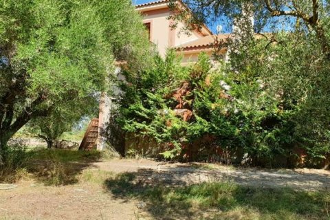 4 bedrooms Maisonette in Zakynthos, Greece No. 24628 23