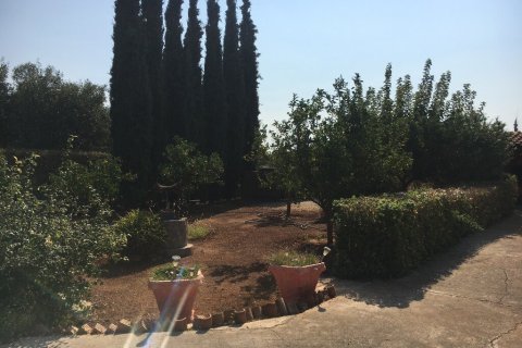 Дом с 4 спальнями в Вело, Греция №54778 25