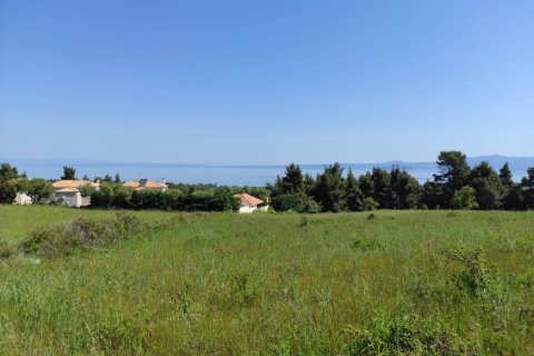 4218m² Land en Chalkidiki, Greece No. 56553 3