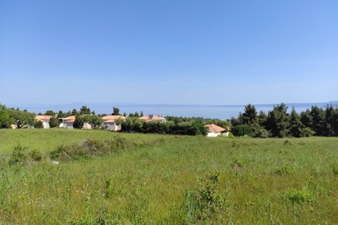 4218m² Land en Chalkidiki, Greece No. 56553 1
