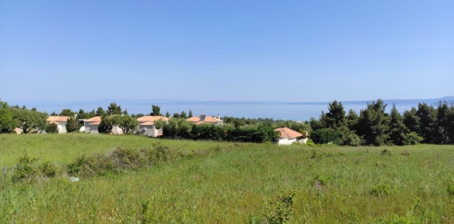 4218m² Land en Chalkidiki, Greece No. 56553