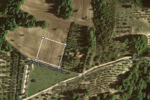 4218m² Land en Chalkidiki, Greece No. 56553 4