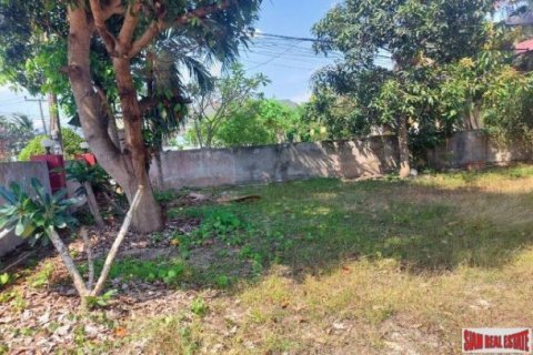 688m² Land in Rawai, Thailand No. 97111 2