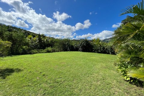 4 bedrooms Villa in Riviere Noire, Mauritius No. 60959 9