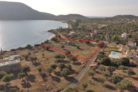 Земельный участок 4000м² в Арголида, Греция №59709 2