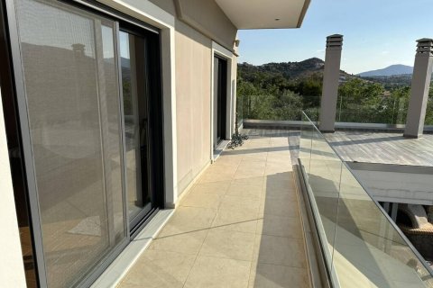 8 bedrooms House in Kalyvia Thorikou, Greece No. 108629 6