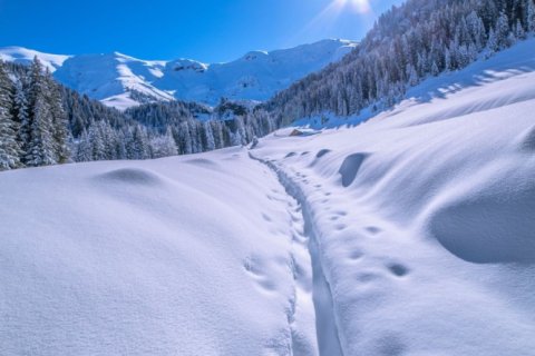 4 bedrooms Apartment in Praz-sur-Arly, France No. 99607 1