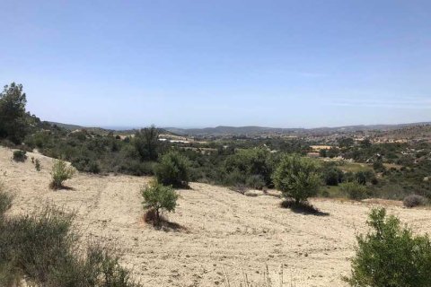 Commercial property à Monagroulli, Cyprus No. 104292 4