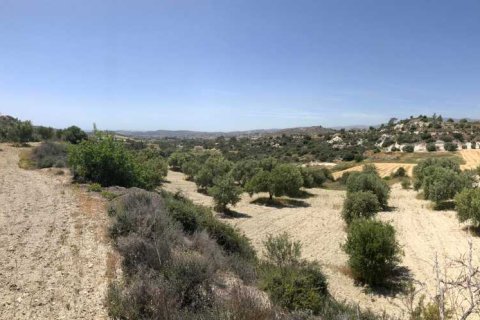 Commercial property à Monagroulli, Cyprus No. 104292 9