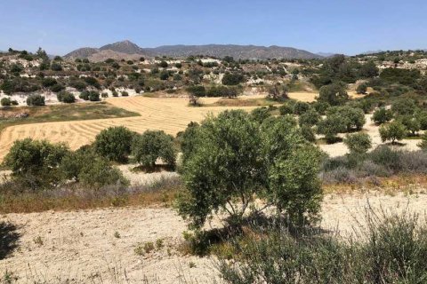 Commercial property à Monagroulli, Cyprus No. 104292 2