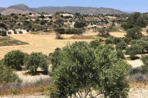 Commercial property à Monagroulli, Cyprus No. 104292 7