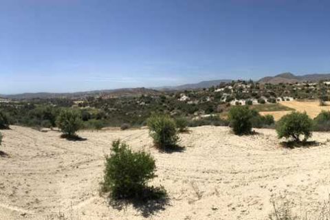 Commercial property à Monagroulli, Cyprus No. 104292 14