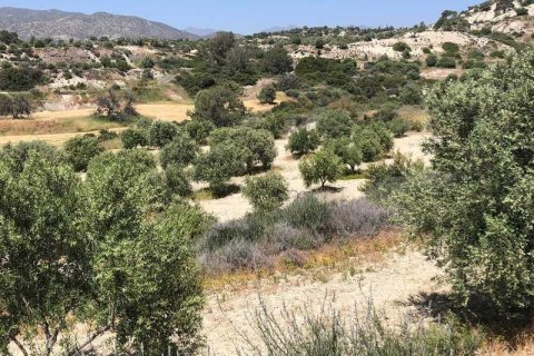 Commercial property à Monagroulli, Cyprus No. 104292 10