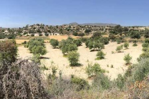 Commercial property à Monagroulli, Cyprus No. 104292 15