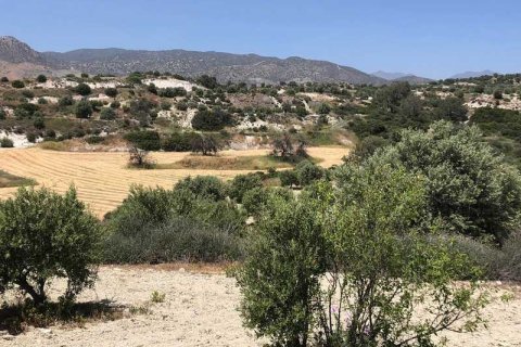 Commercial property à Monagroulli, Cyprus No. 104292 13