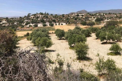 Commercial property à Monagroulli, Cyprus No. 104292 11