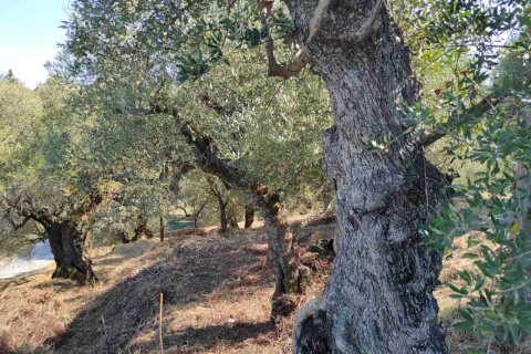 Land in Zakynthos, Greece No. 69523 3