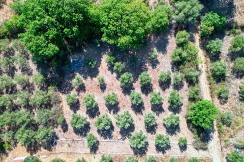 3 bedrooms Villa in Chania, Greece No. 23865 5