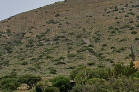 34000m² Land in Lasithi, Greece No. 56552 3