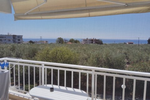 2 bedrooms Maisonette in Polygyros, Greece No. 107216 26