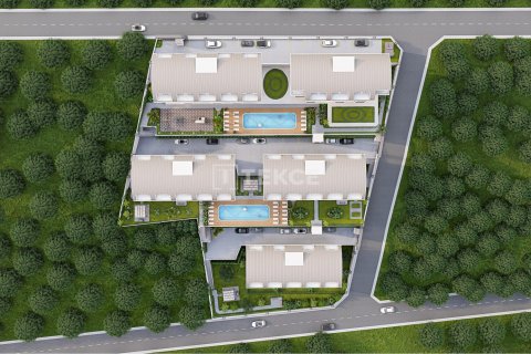 Пентхаус с 2 спальнями в Chau Lang, Вьетнам №15127 2