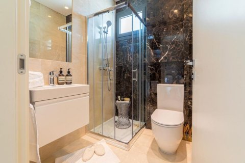 Studio Apartment in Nicosia, Cyprus No. 105291 14