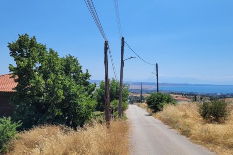 400m² House in Panorama, Greece No. 107503 3