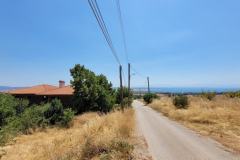 400m² House in Panorama, Greece No. 107503 2