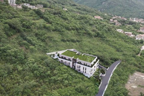 1 bedroom Apartment in Kotor, Montenegro No. 74302 5