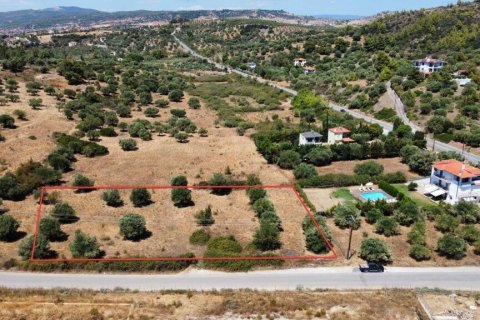 4350m² Land in Chalkidiki, Greece No. 54256 2