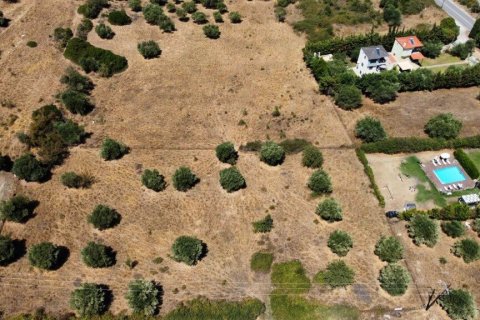 4350m² Land in Chalkidiki, Greece No. 54256 4