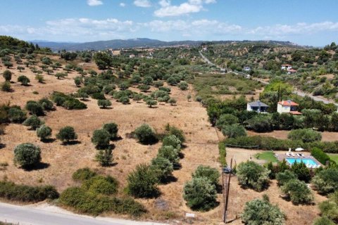 4350m² Land in Chalkidiki, Greece No. 54256 5