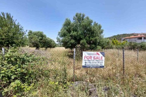 4350m² Land in Chalkidiki, Greece No. 54256 6