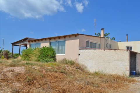 280m² Business in Legrena, Greece No. 60238 11