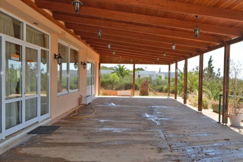 280m² Business in Legrena, Greece No. 60238 7