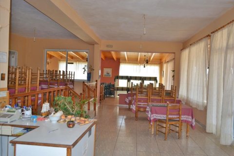 280m² Business in Legrena, Greece No. 60238 2