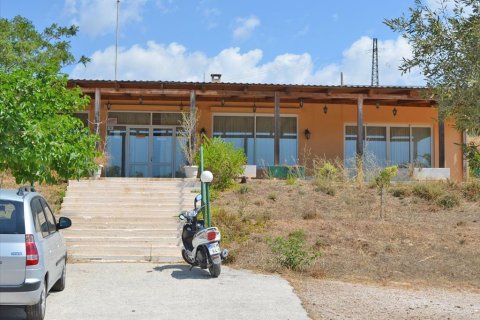 280m² Business in Legrena, Greece No. 60238 9