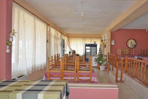 280m² Business in Legrena, Greece No. 60238 4