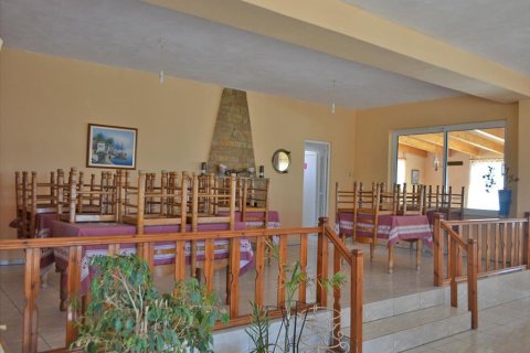 280m² Business in Legrena, Greece No. 60238 1