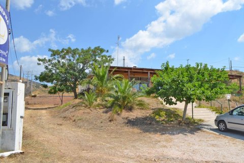 280m² Business in Legrena, Greece No. 60238 10