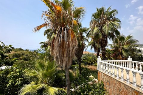 3 bedrooms Villa in Chau Lang, Vietnam No. 16372 11