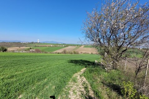 7311m² Land en Thessaloniki, Greece No. 108049 6