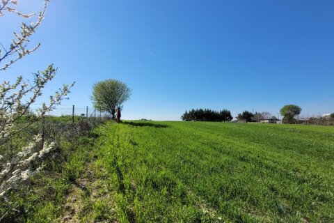 7311m² Land in Thessaloniki, Greece No. 108049