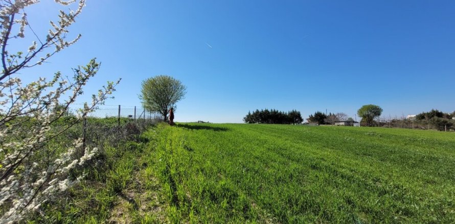 7311m² Land in Thessaloniki, Greece No. 108049