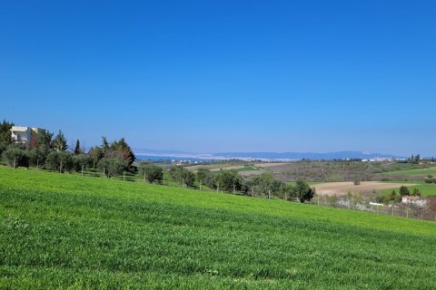 7311m² Land en Thessaloniki, Greece No. 108049 5